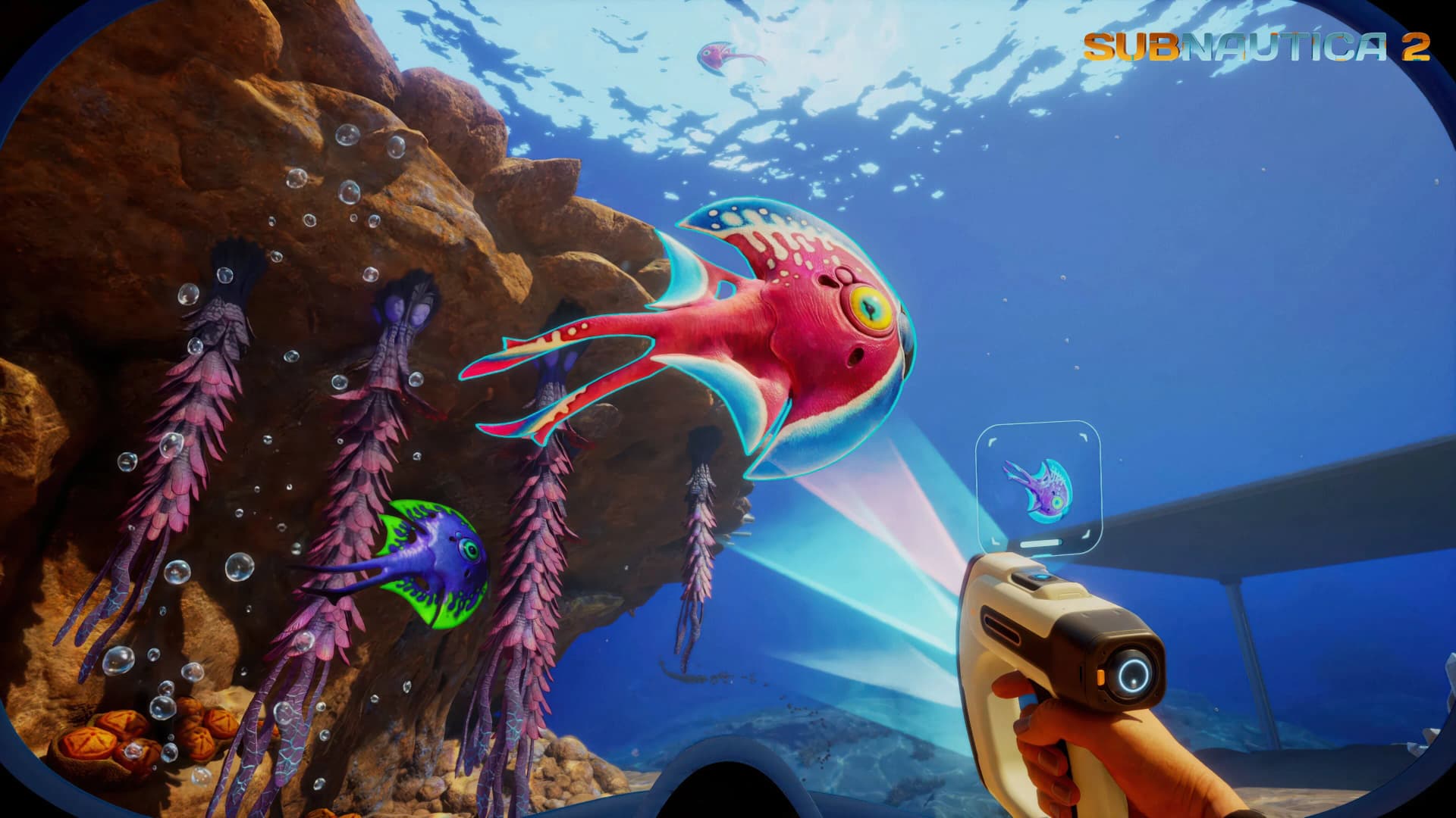 Strong acid crafted from Necrolei Cysts in Subnautica 2